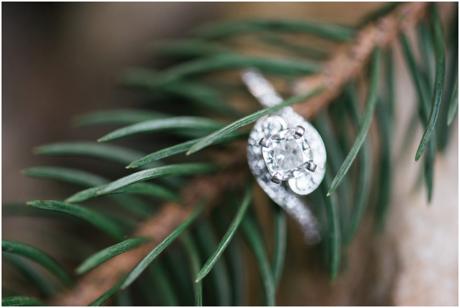 Christiana & John | Cromwell Valley Park Engagement